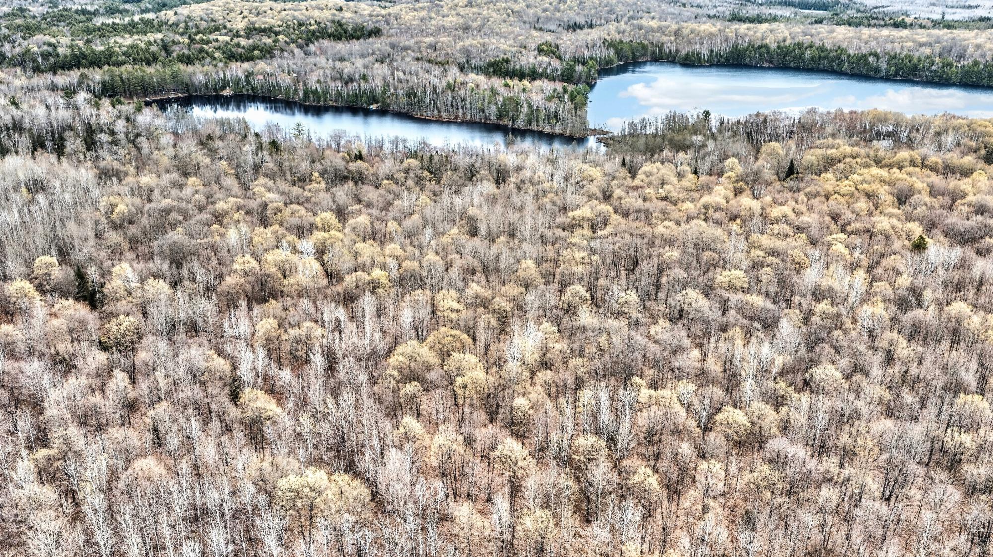 12032 Crab Lake Road Presque Isle, WI 54557 - Photo 6 of 6 Gallery Image 6