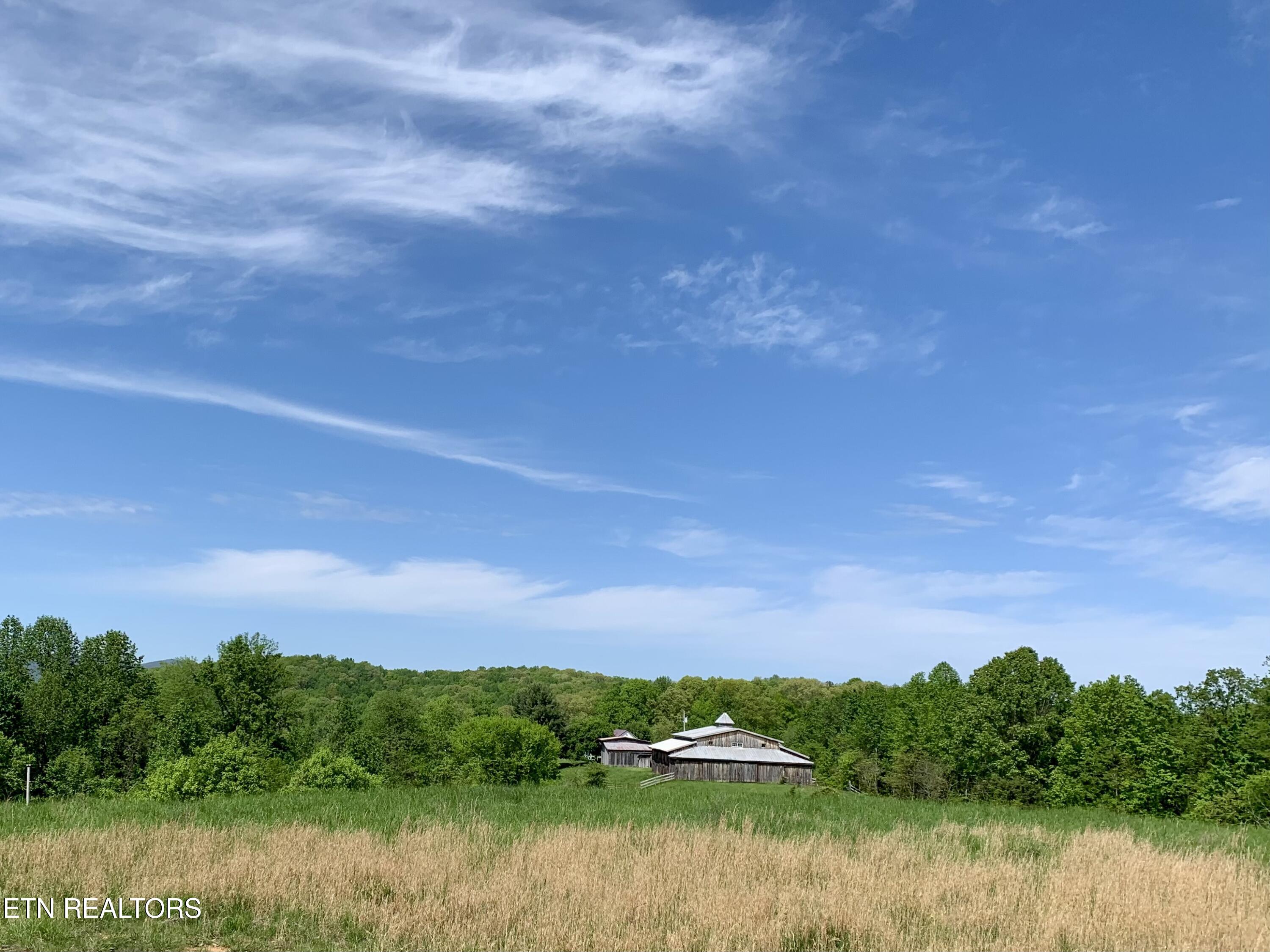 1088 Jones Ridge Road Speedwell, TN 37870 - Photo 1 of 54 IMG_0121