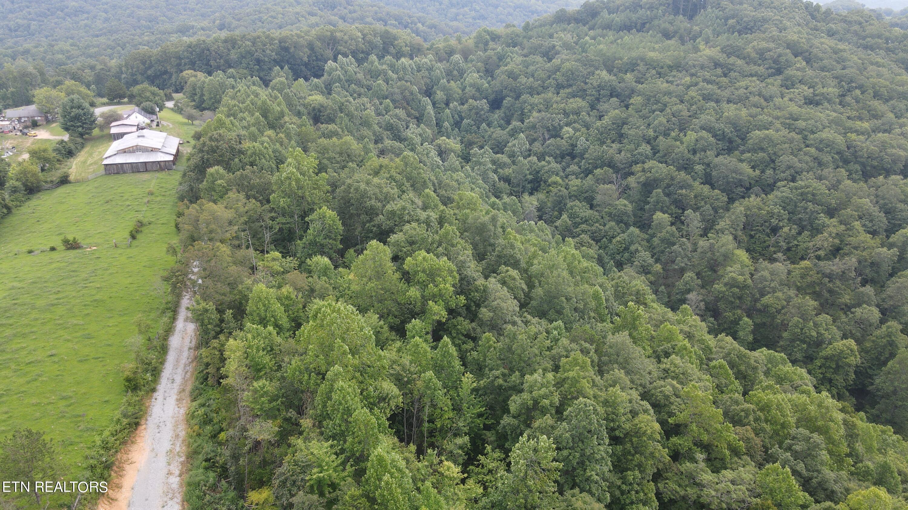 1088 Jones Ridge Road Speedwell, TN 37870 - Photo 11 of 54 DJI_0229