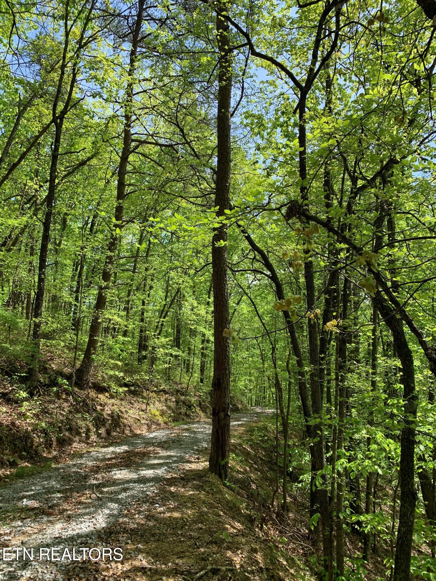 1088 Jones Ridge Road Speedwell, TN 37870 - Photo 51 of 54 11
