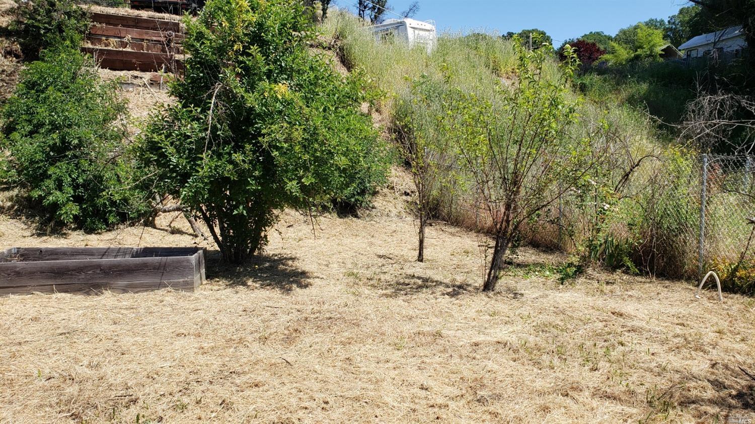 6060 Eastside Calpella Road Ukiah, CA 95482 - Photo 3 of 9 a view of a yard covered with trees