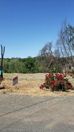 a view of a lake with a car parked