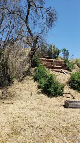 a view of a backyard