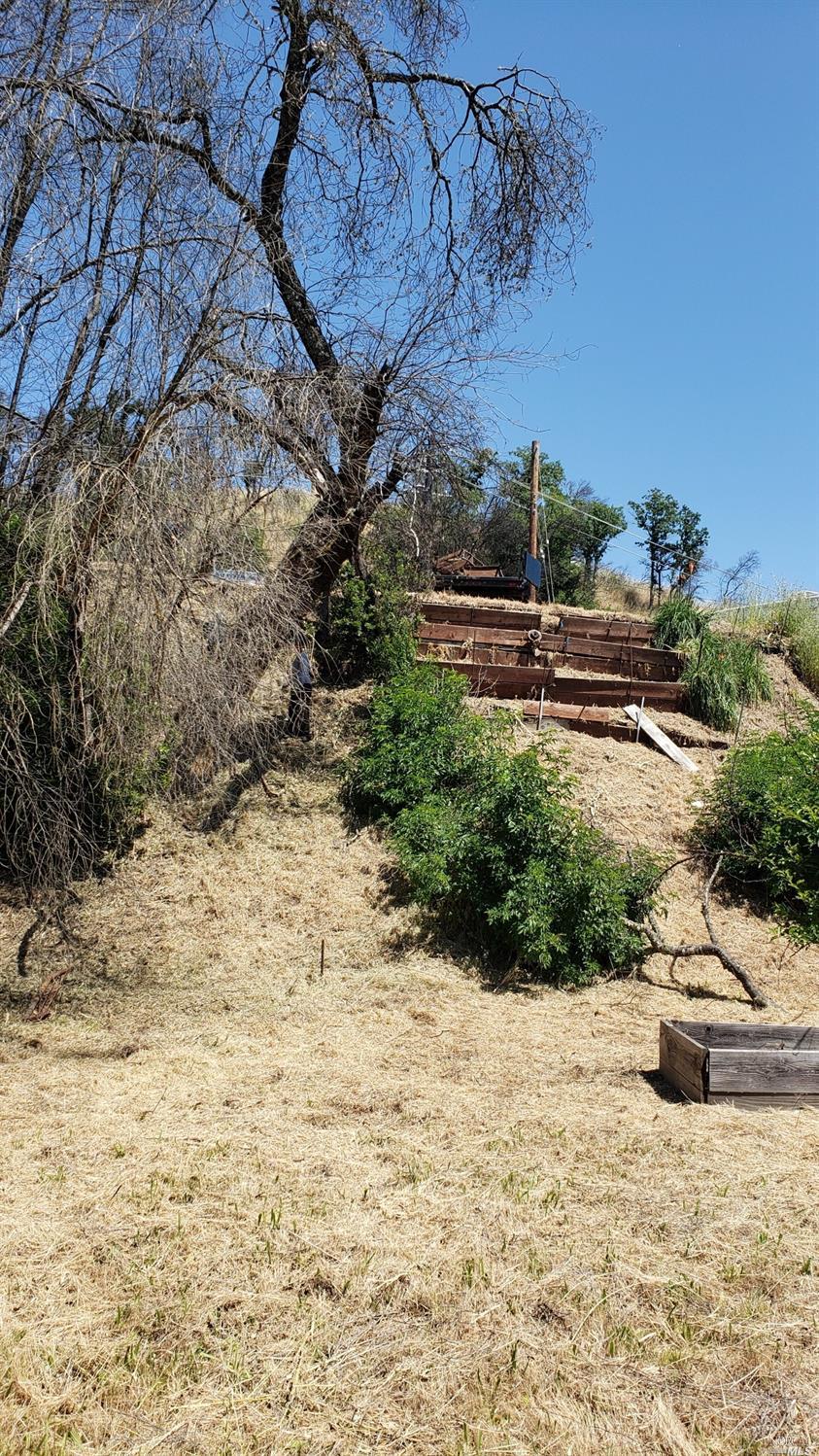 6060 Eastside Calpella Road Ukiah, CA 95482 - Photo 7 of 9 a view of a backyard