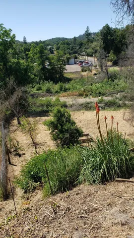 a view of a lake with a yard