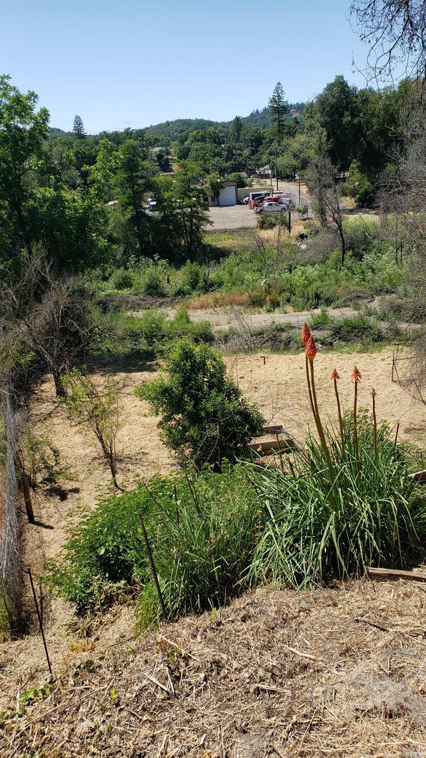 6060 Eastside Calpella Road Ukiah, CA 95482 - Photo 8 of 9 a view of a lake with a yard