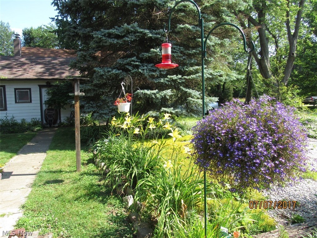 1664 Heather Road Madison, OH 44057 - Photo 30 of 32 Birds and blooms.