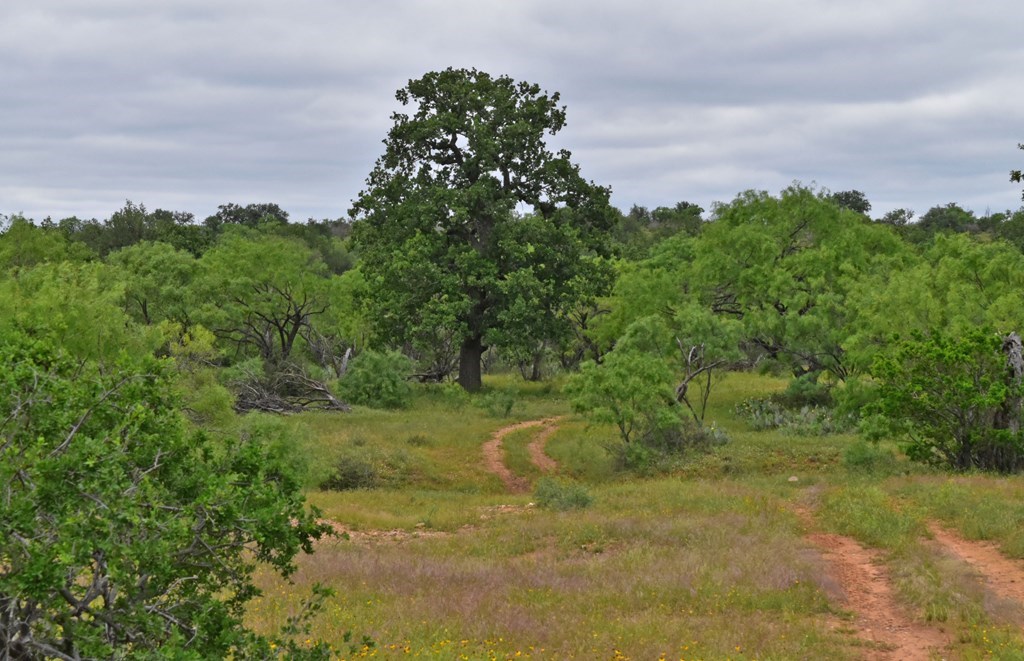 - Keyserville Road Mason, TX 76856 - Photo 3 of 25 Gallery Image 3
