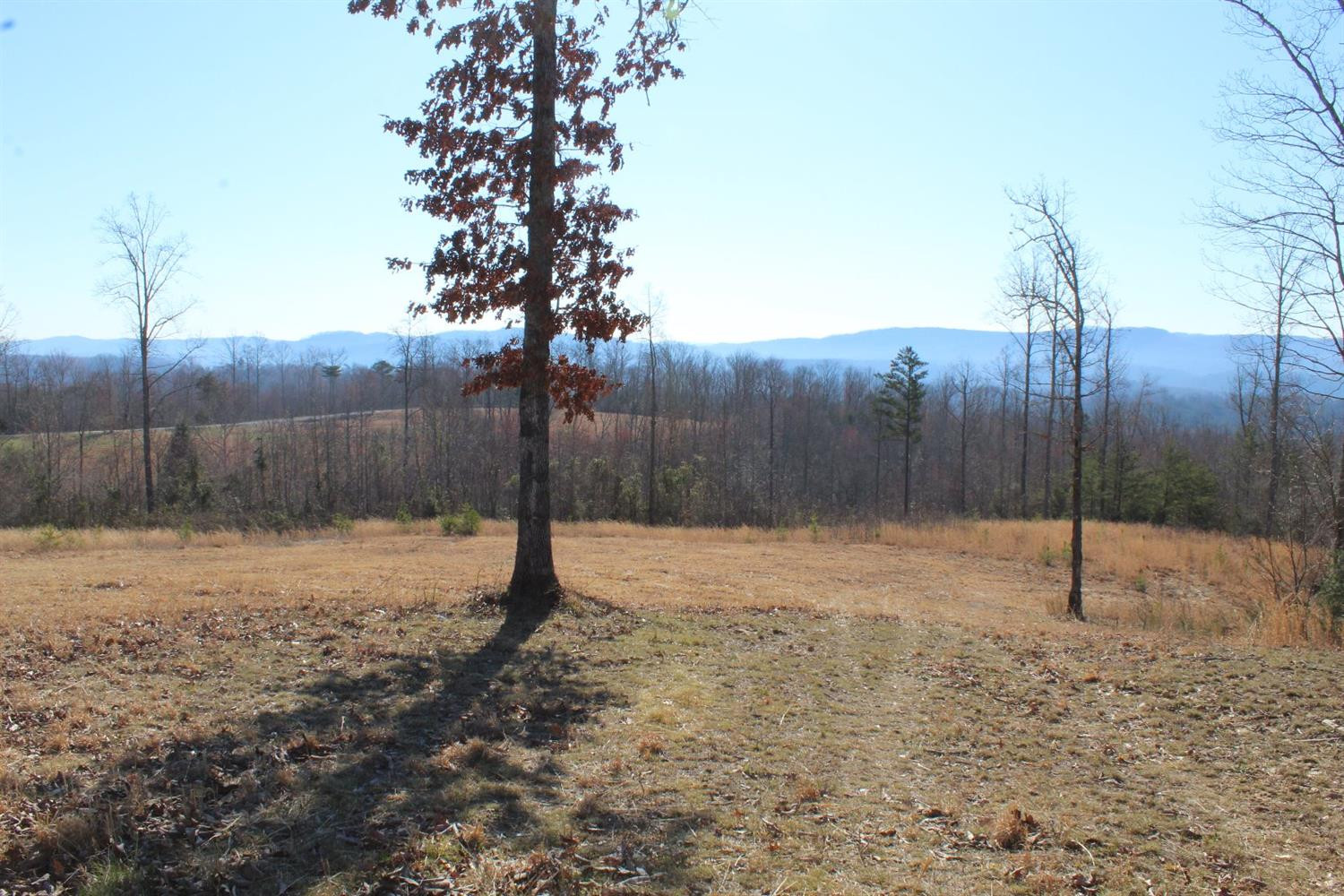 9999 Oak Ridge Church Road Williamsburg, KY 40769 - Photo 15 of 26 Photo 15