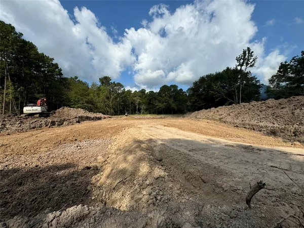 a view of dirt yard with a large tree