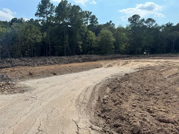 a view of backyard with green space