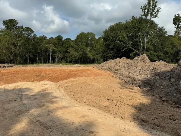 a view of a dry yard with trees