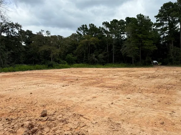 a view of empty room with tree s