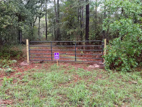 a view of backyard with green space