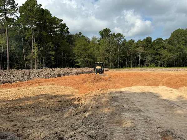 a view of empty space with large trees