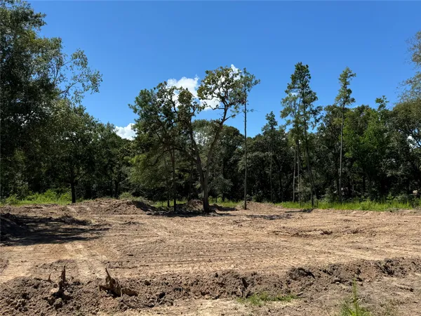 a view of side of a yard