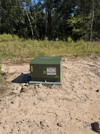 a view of a yard with trees