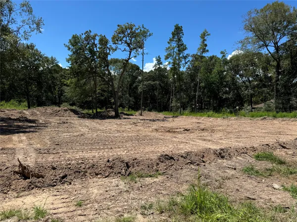 a view of outdoor space with trees