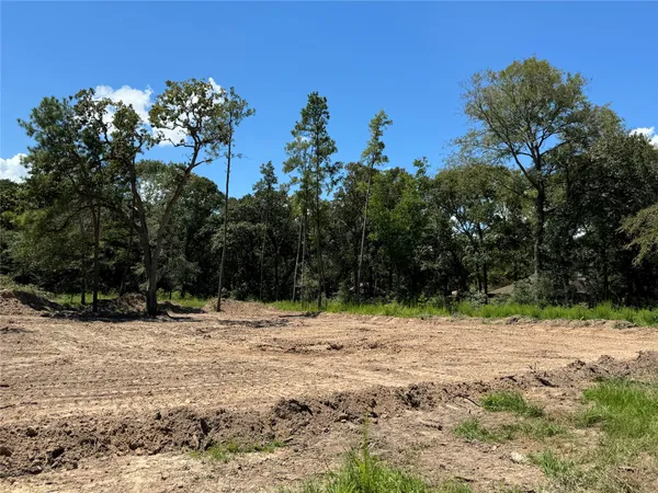 a view of a yard with a tree