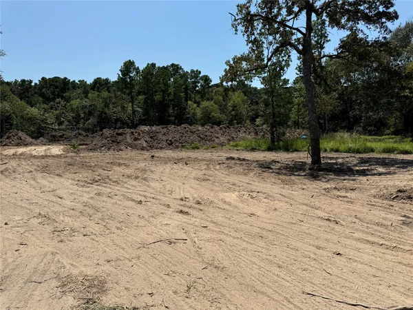 a view of a dry yard with trees