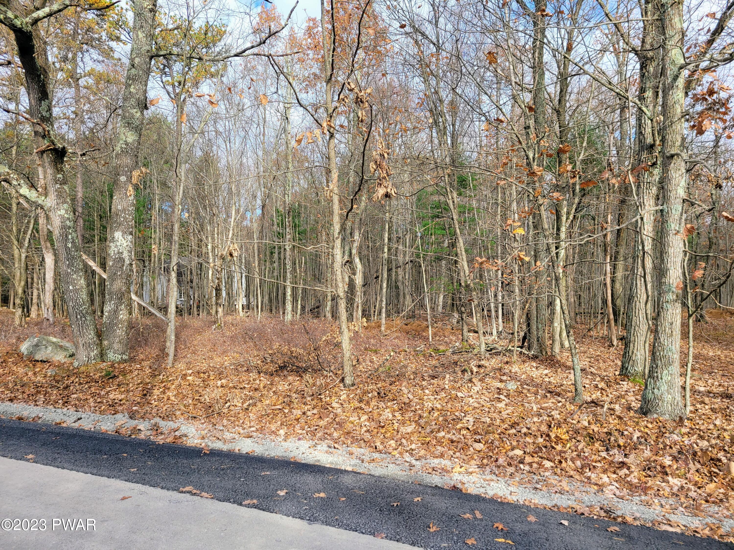 151 Moon Ridge Lane Tafton, PA 18464 - Photo 3 of 8