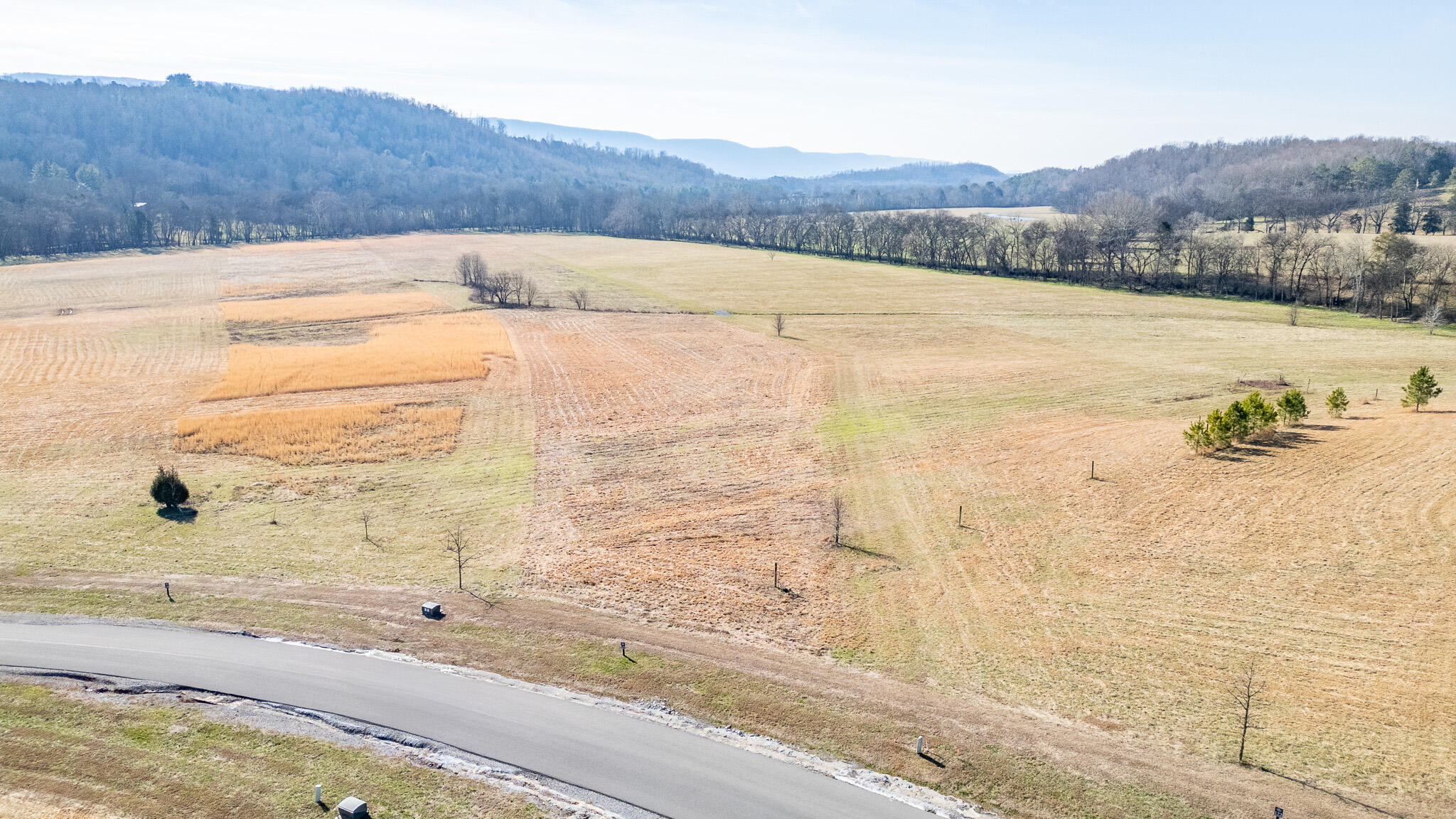123 River Ridge Drive Dunlap, TN 37327 - Photo 3 of 11 DJI_0042-HDR