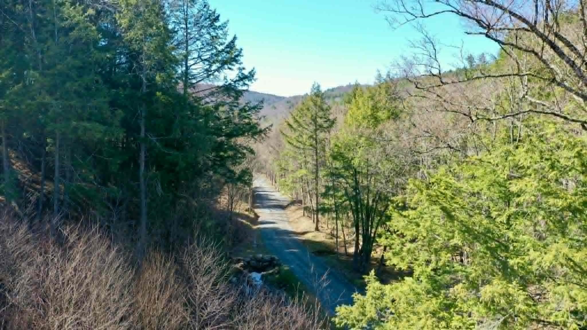 0 Turkey Mountain Road Jamaica, VT 05343 - Photo 21 of 49 Gallery Image 21