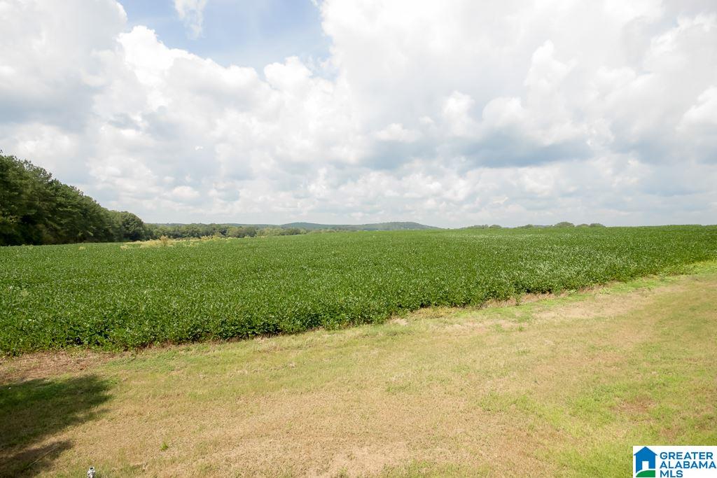 490 Rabbit Branch Road Cropwell, AL 35054 - Photo 28 of 39