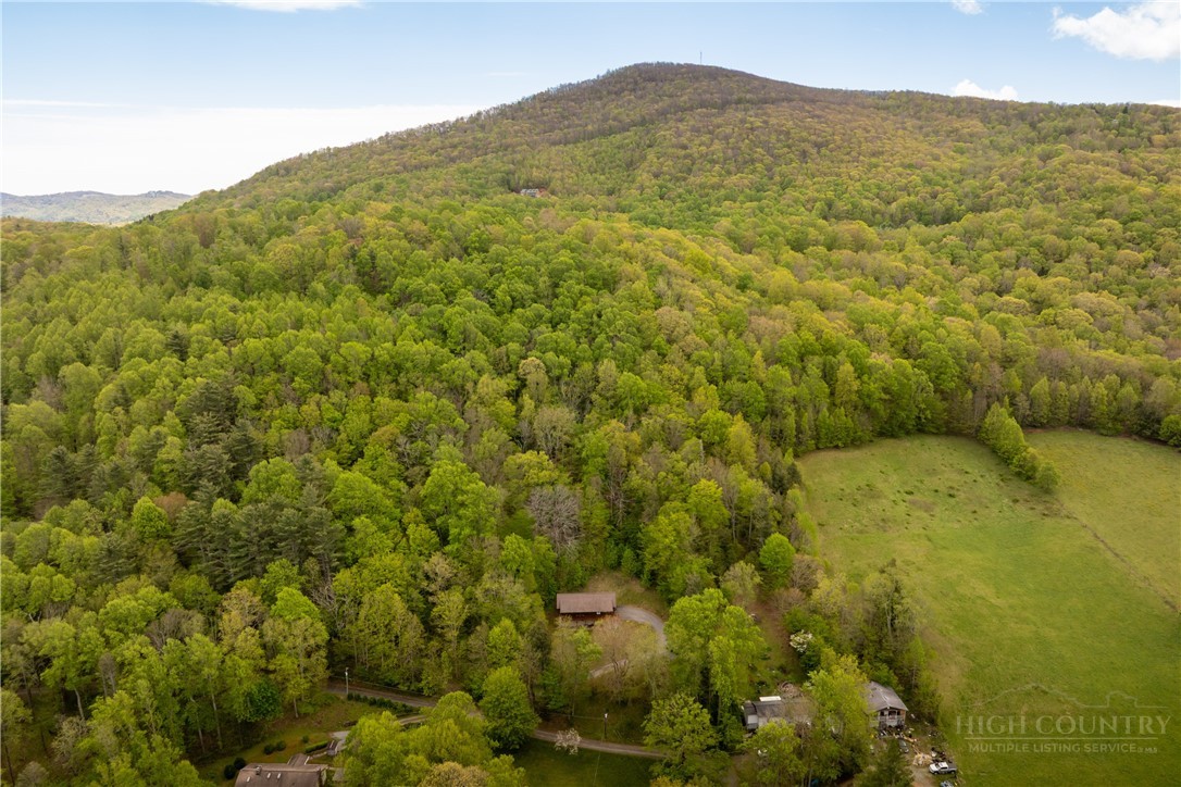 280 Moss Hill Road Boone, NC 28607 - Photo 5 of 44