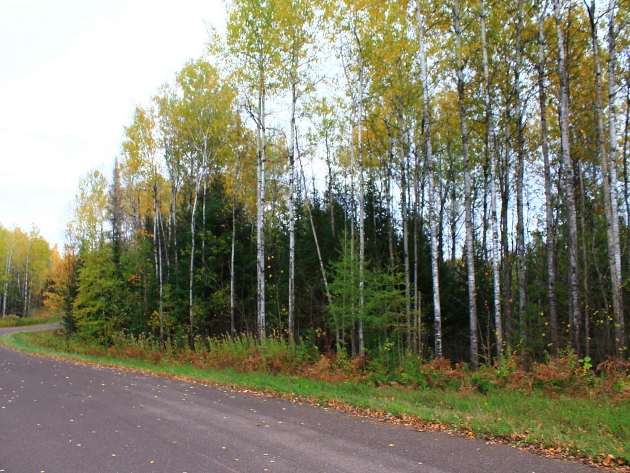 3353 West Nathan Pass Mercer, WI 54547 - Photo 38 of 58 Gallery Image 38
