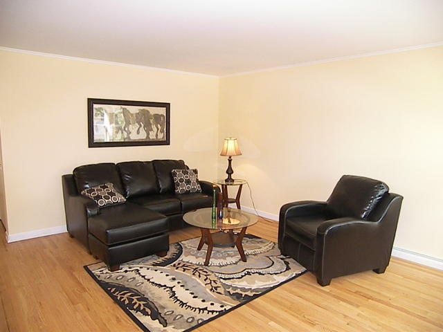 1040 Midway Road Northbrook, IL 60062 - Photo 3 of 18 a living room with furniture and a rug