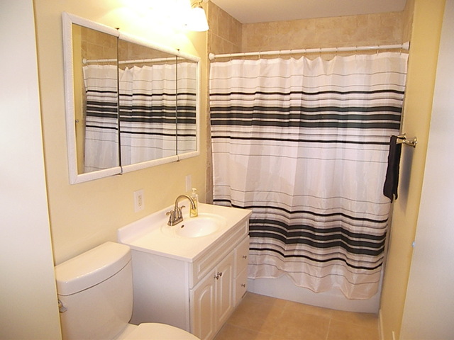 1040 Midway Road Northbrook, IL 60062 - Photo 10 of 18 a bathroom with a sink and a mirror