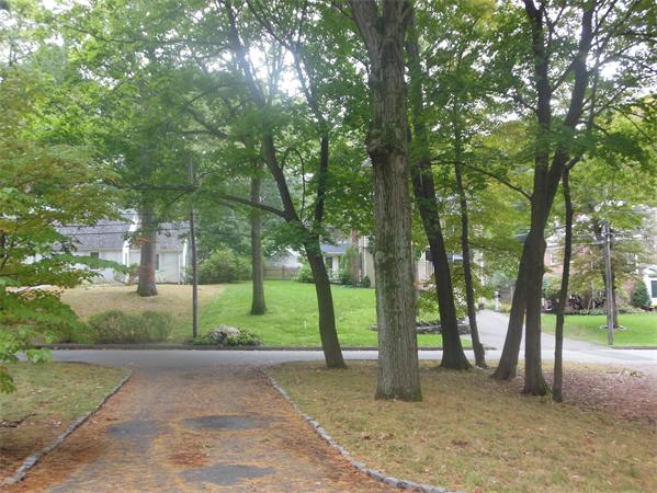 67 Allerton Road Milton, MA 02186 - Photo 30 of 30 Gallery Image 30