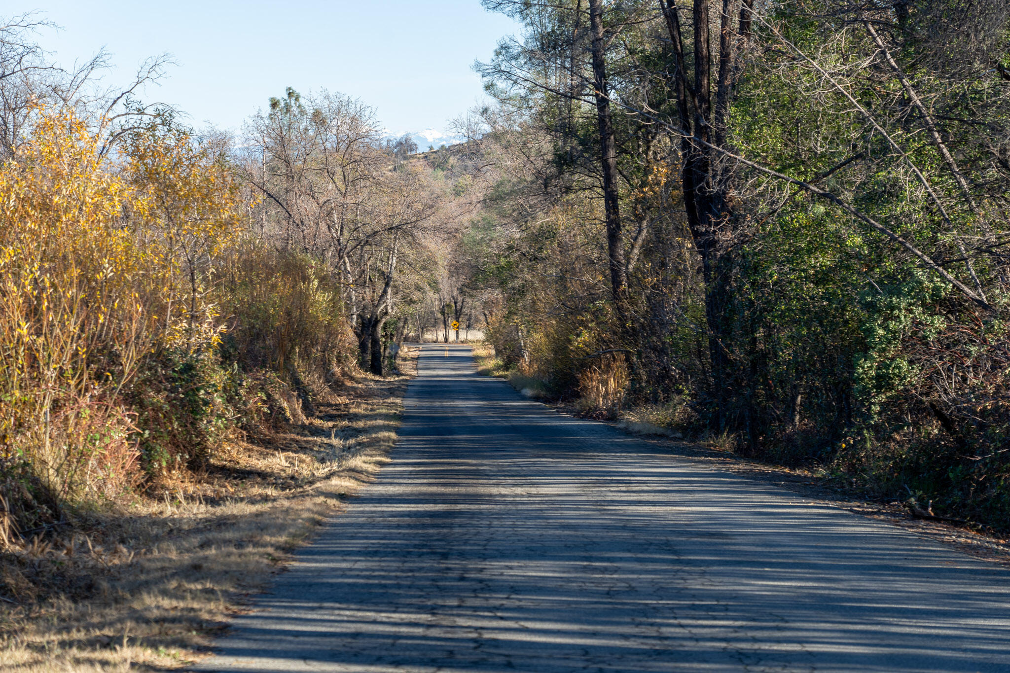 a view of outdoor space with wooden floor