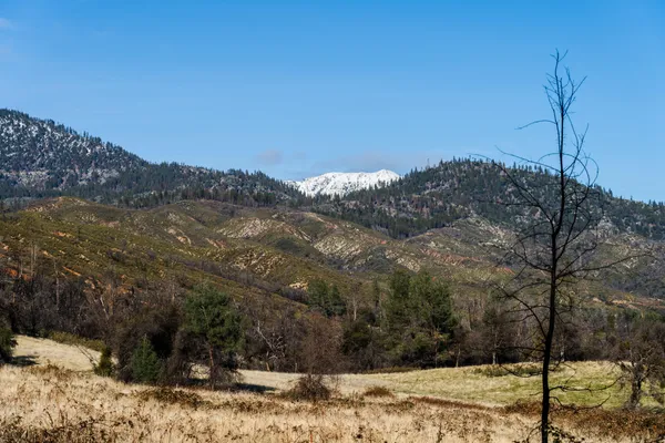a view of a yard covered with snow