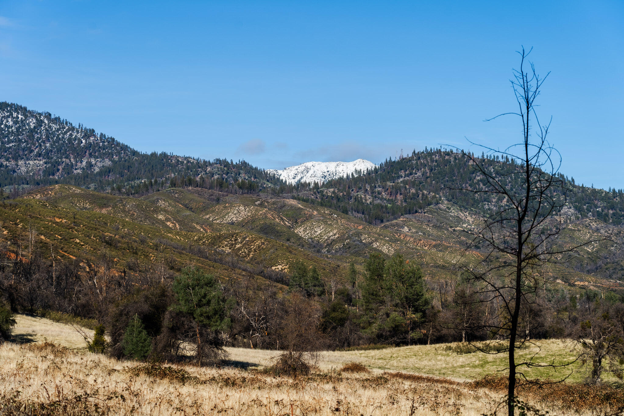 9977 Rainbow Lake Road Igo, CA 96047 - Photo 5 of 16 a view of a yard covered with snow
