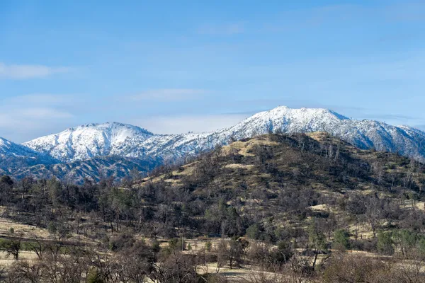 a view of a large forest with mountain view