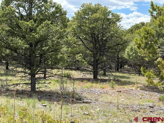 Lot 4 Tower Road Ridgway, CO 81432 - Photo 7 of 14