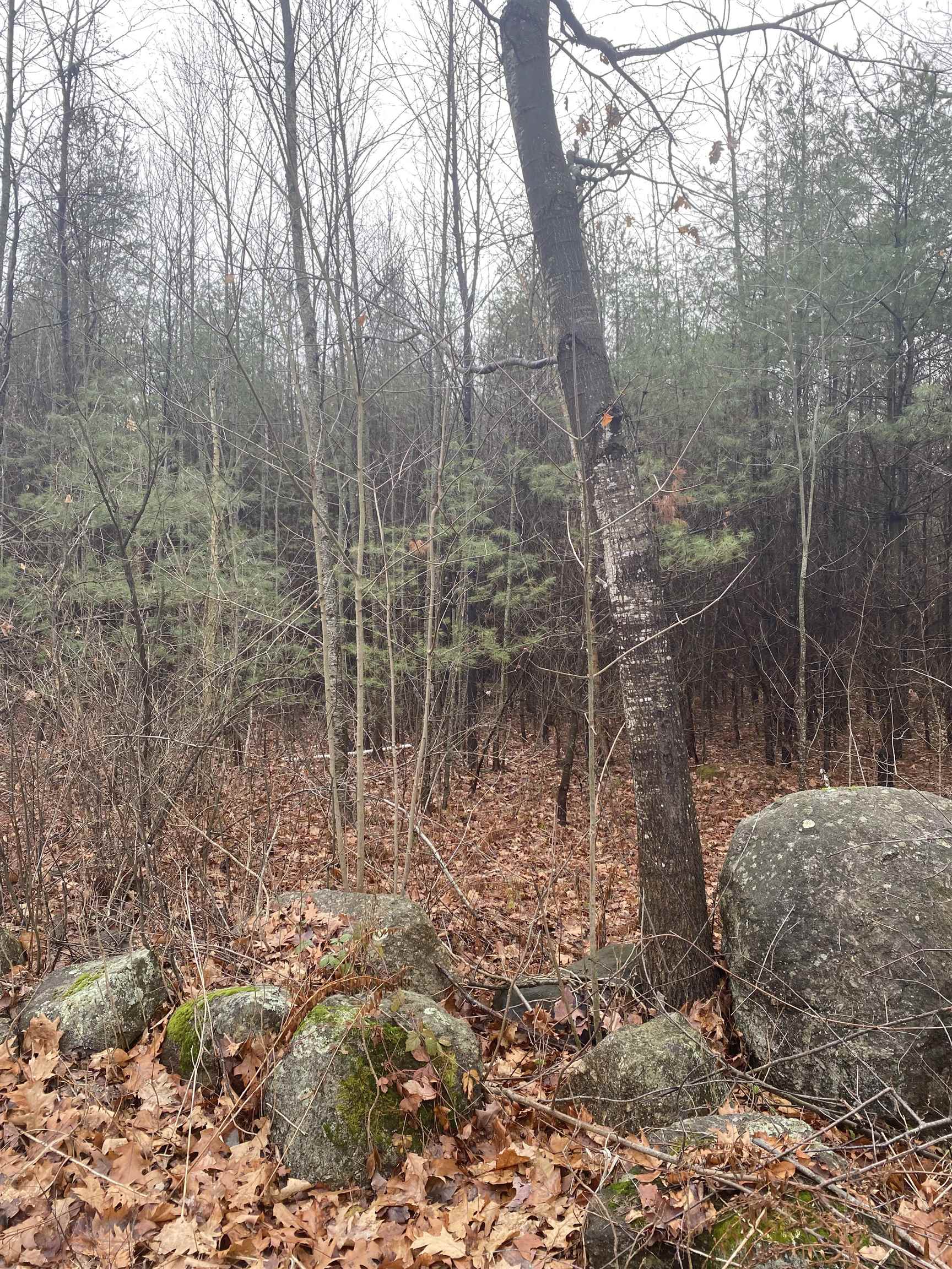 Briar Hill Road, Unit 50 Hopkinton, NH 03229 - Photo 2 of 5