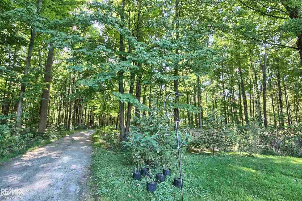 8335 Morrow Road Algonac, MI 48001 - Photo 2 of 45