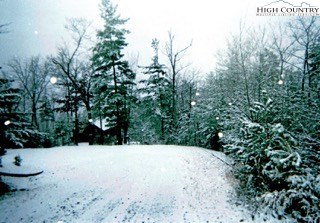 448 Woodpecker Road Purlear, NC 28665 - Photo 41 of 47