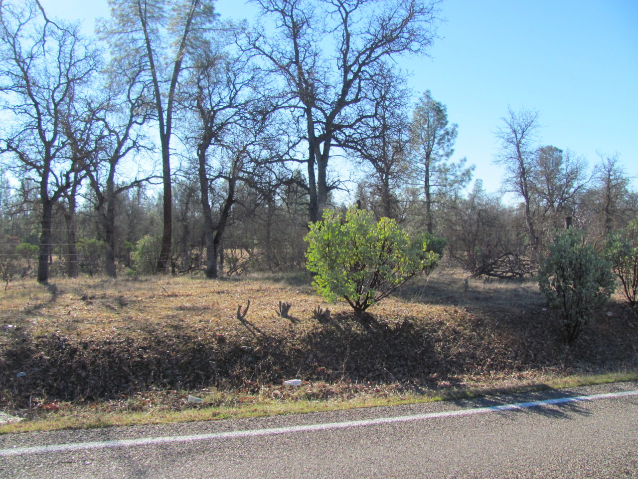 21109 Boyle Road Redding, CA 96003 - Photo 1 of 19 IMG_5783