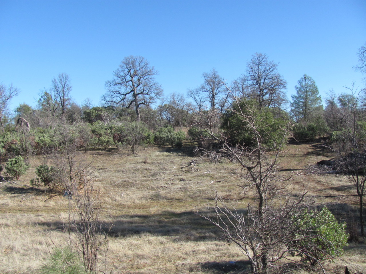 21109 Boyle Road Redding, CA 96003 - Photo 13 of 19 IMG_5790