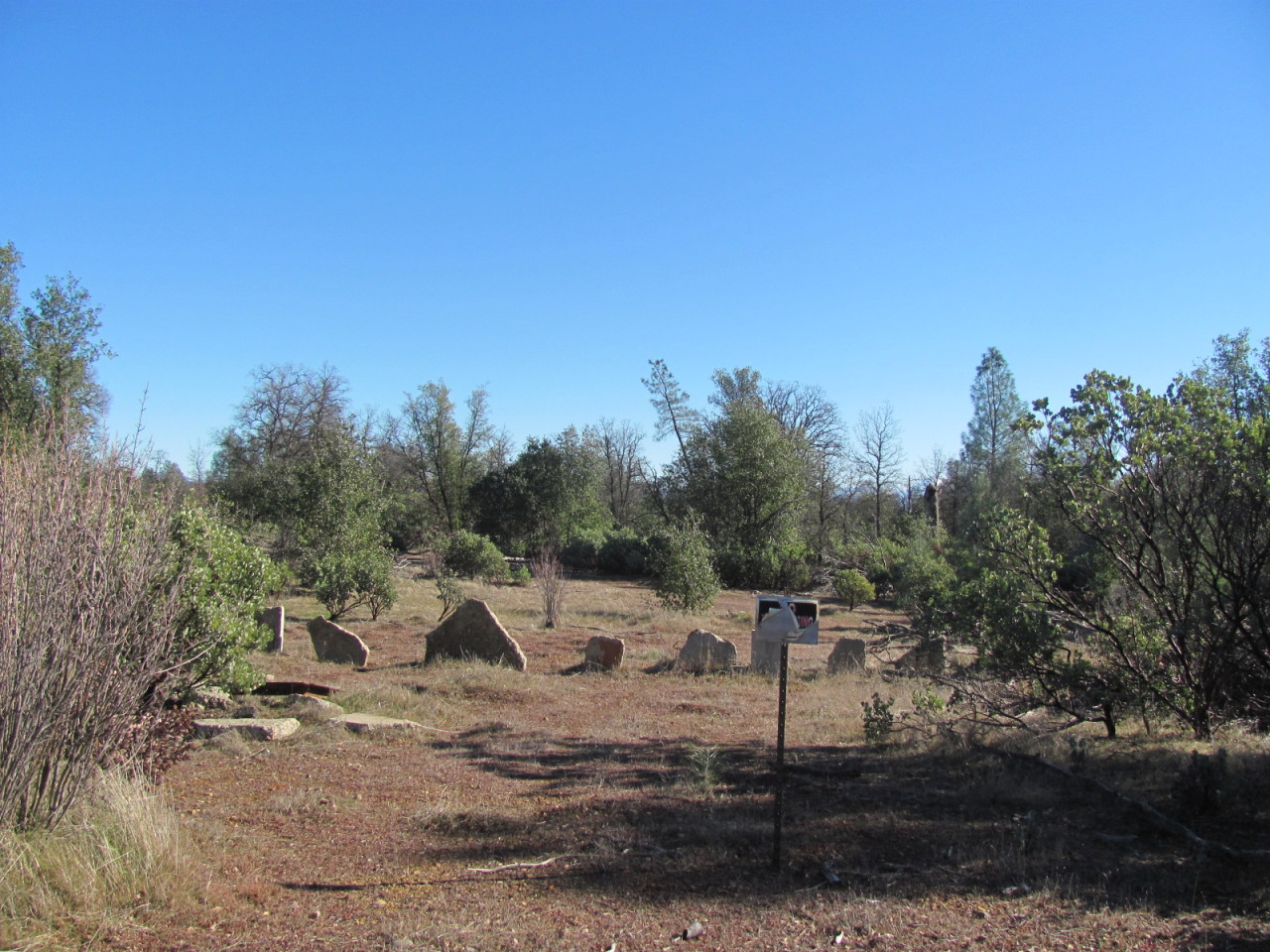 21109 Boyle Road Redding, CA 96003 - Photo 14 of 19 IMG_5791