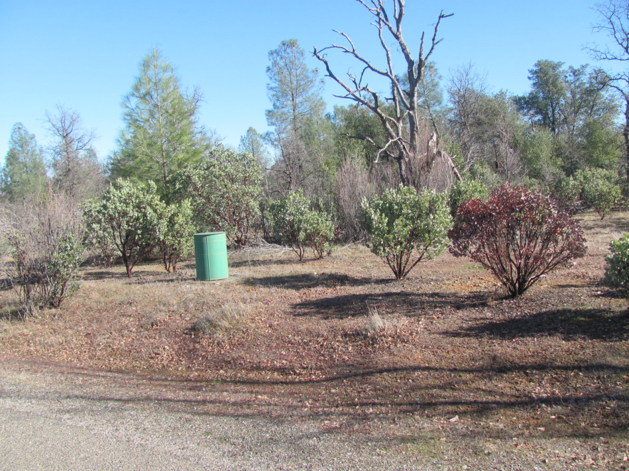 21109 Boyle Road Redding, CA 96003 - Photo 15 of 19 IMG_5792