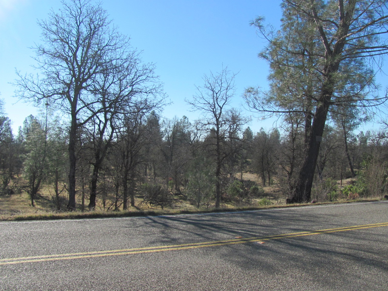 21109 Boyle Road Redding, CA 96003 - Photo 5 of 19 IMG_5781