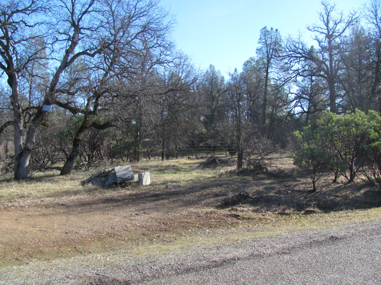 21109 Boyle Road Redding, CA 96003 - Photo 8 of 19 IMG_5785