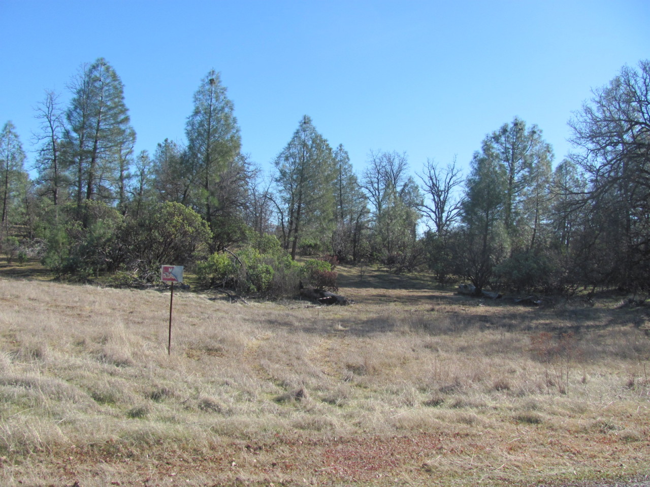 21109 Boyle Road Redding, CA 96003 - Photo 10 of 19 IMG_5787