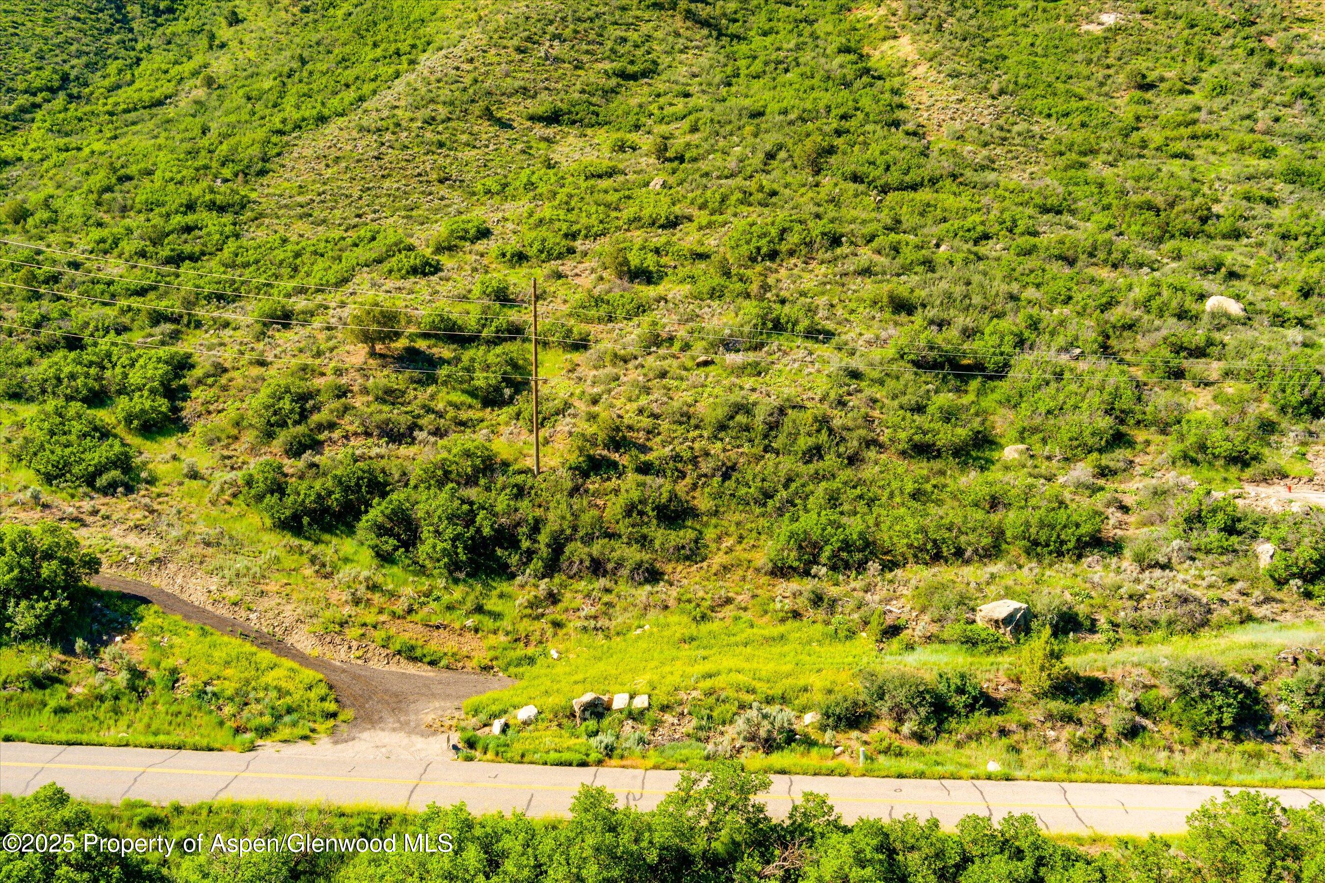 Lot 3 County Road 335 New Castle, CO 81647 - Photo 2 of 15 a view of a big yard with plants and large trees