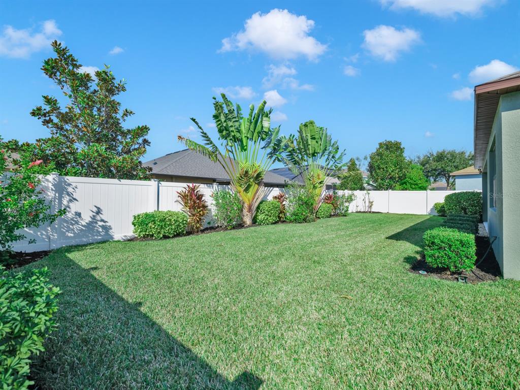 7109 Spindle Tree Lane Riverview, FL 33578 - Photo 6 of 42 a view of house with backyard